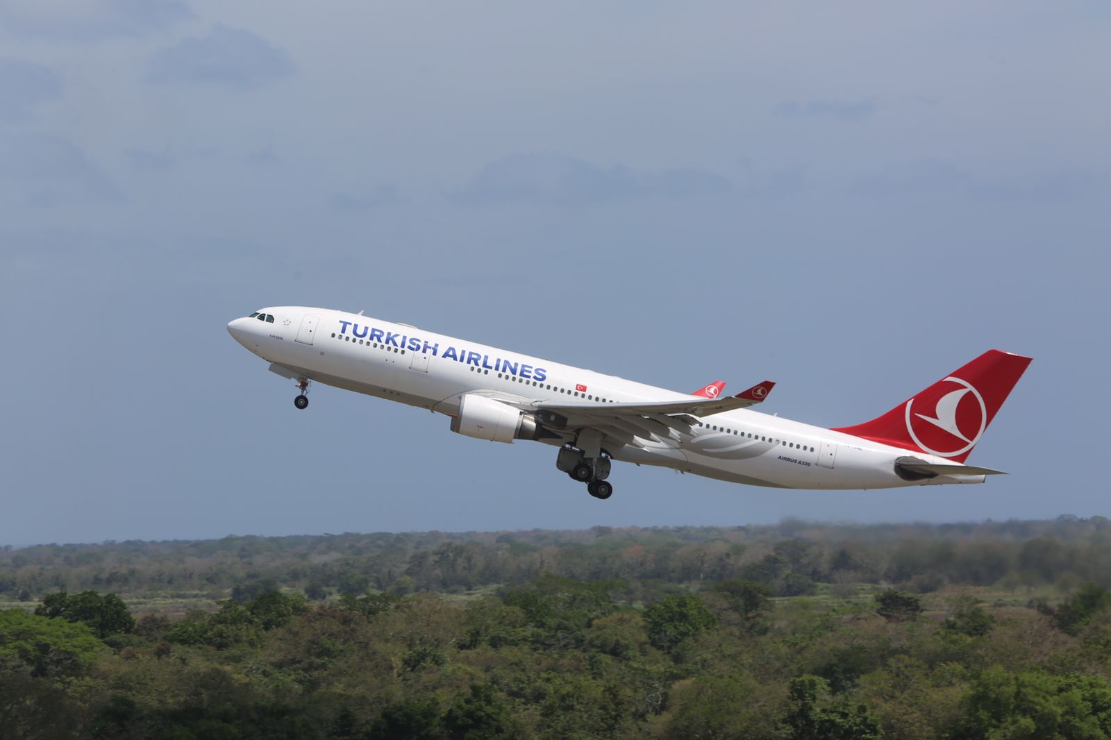 Turkish airliness llega a Panamá