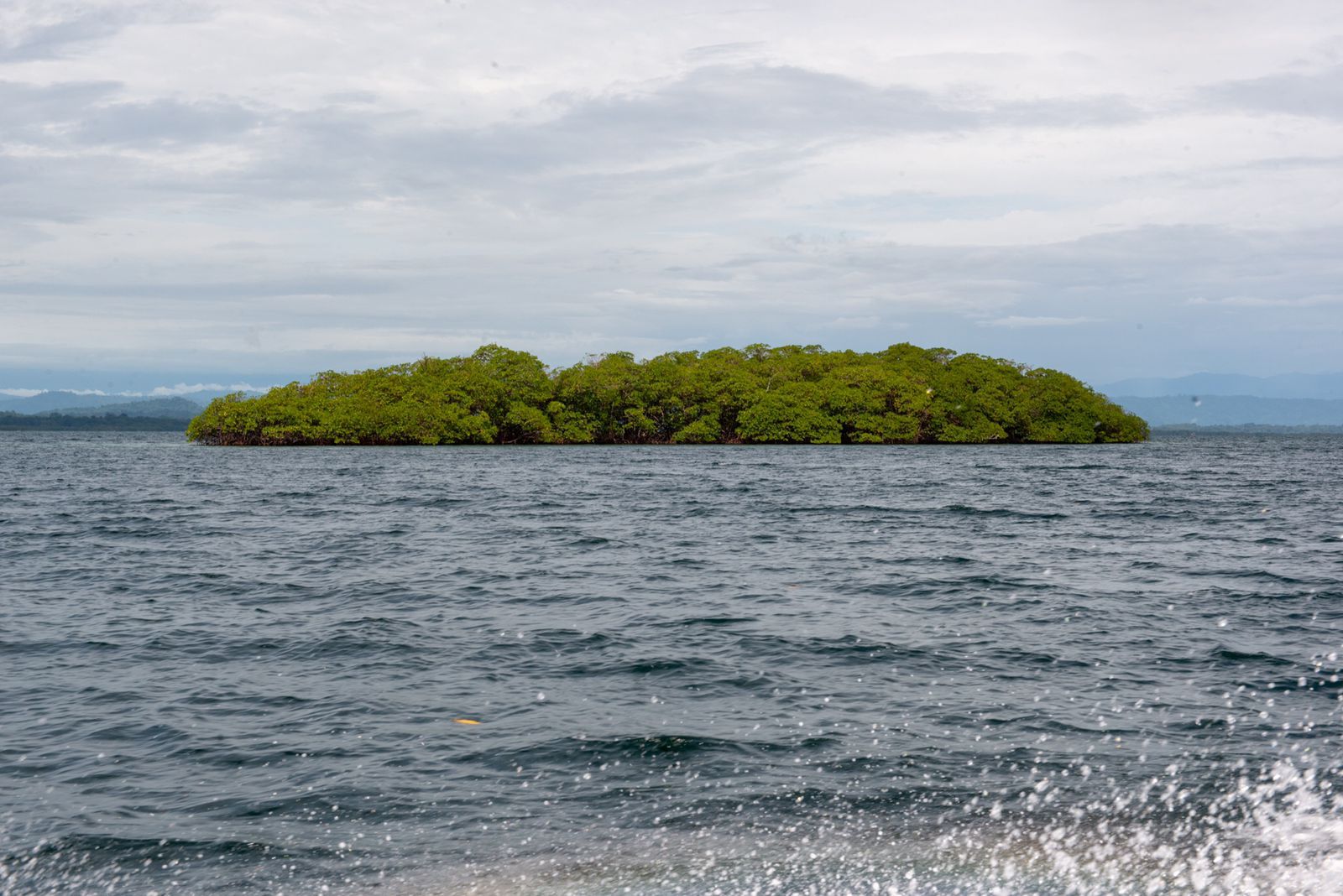 Las tendencias de turismo para el 2024: Hacia dónde va la industria