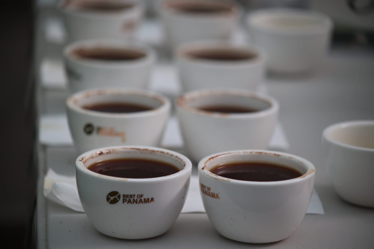 Finaliza Cata Nacional de café, 72 lotes pasan a la Cata Internacional