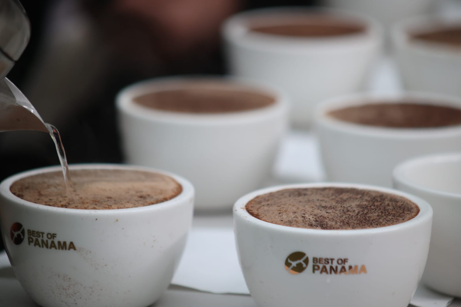 Panamá ofertará su café de lujo en la subasta electrónica del BOP