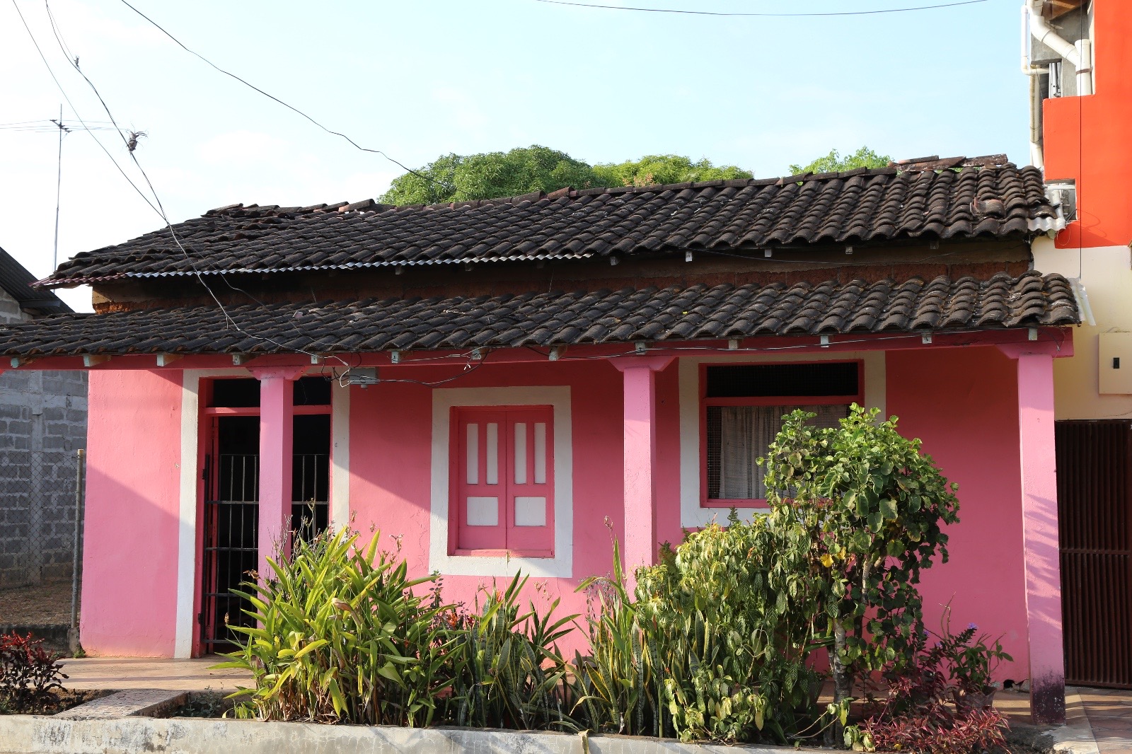 Técnicas de construcción de Casas de Quincha es incluida en la Lista de Salvaguarda Urgente de la UNESCO